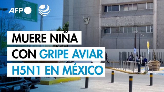 Muere niña reportada como primer caso humano de gripe aviar H5N1 en México