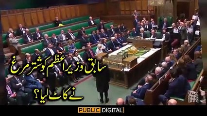 Former Prime Minister Bitten by an Ostrich? Shocking Incident | Video Gone Viral | Public News