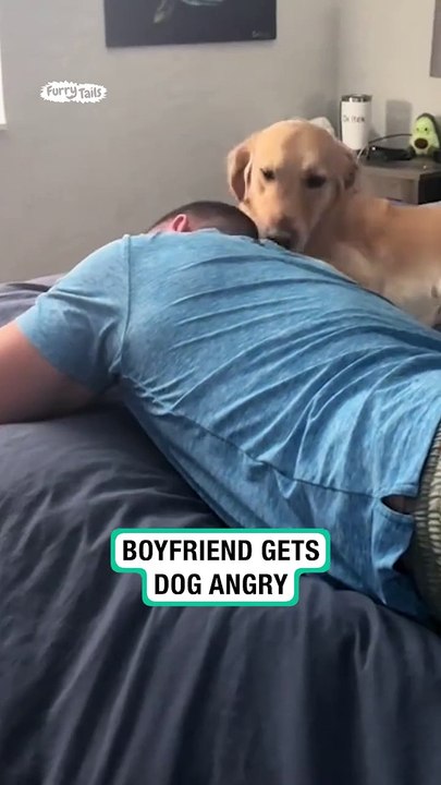 Boyfriend winds up dog