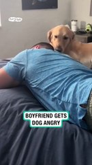Boyfriend winds up dog