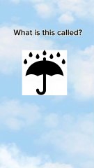 what is this called??