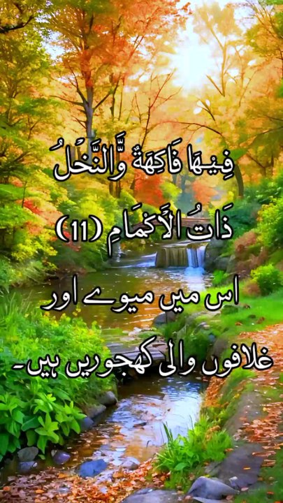 Quran Recitation