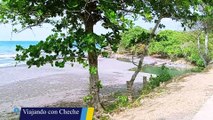 Naturaleza mágica: Palmas gemelas en Baracoa Cuba