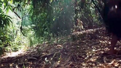 แม่หยัว The Empress of Ayodhaya (2024) - Episode 4 - Eng Sub