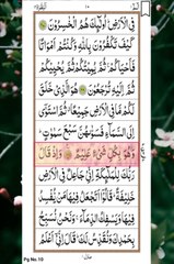 Surah Al-Baqarah |29▪︎35|