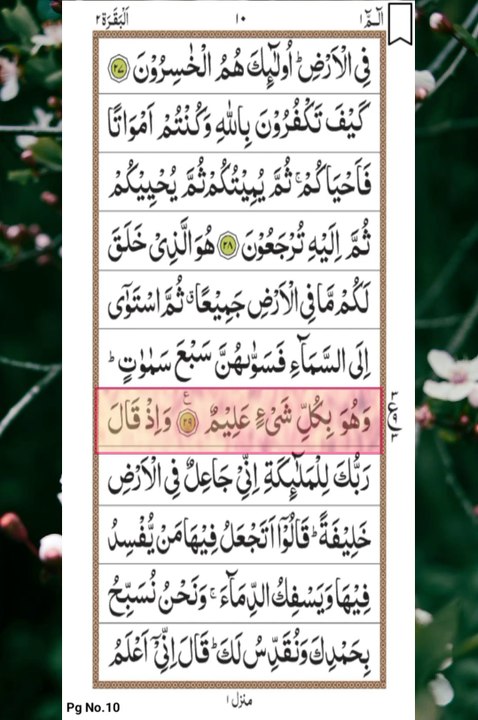 Surah Al-Baqarah |29▪︎35|