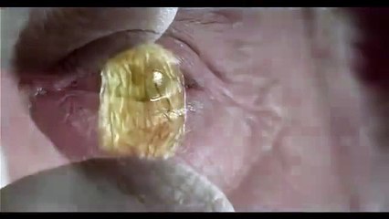 Yeni Rakı ÂLÂ Reklam Filmi