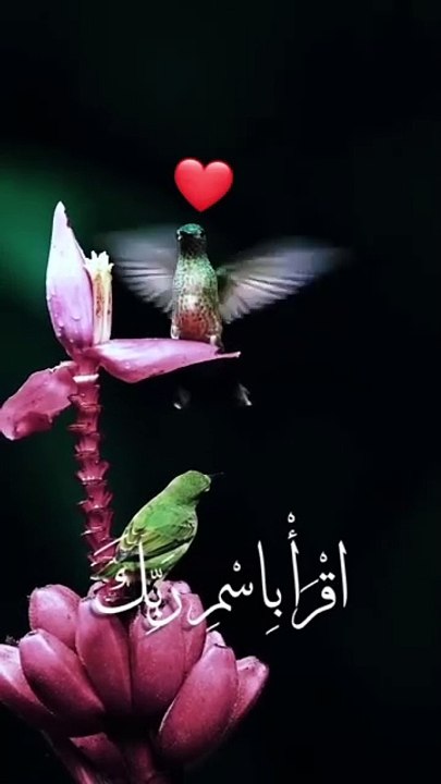 Beautiful recetation of surah Alaq