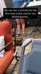 “This One Second Will Melt You”