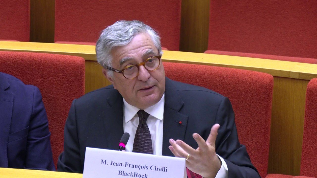 Les aides aux entreprises ne sont « jamais un critère déterminant » dans les choix de Blackrock