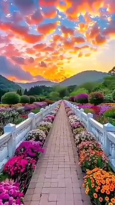 Heart touching recetation of surah alduha