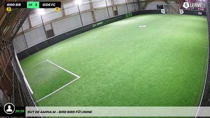 But de Amina M - Bird Bird Féminine