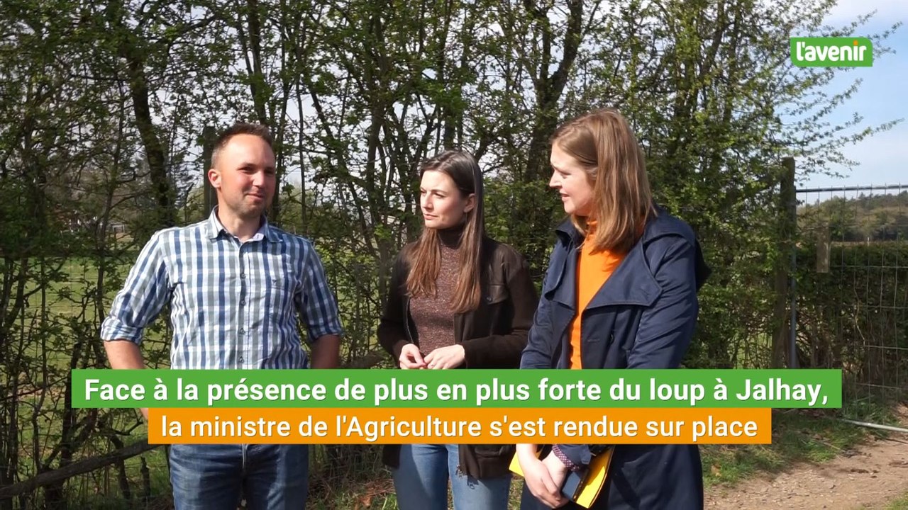 Face à la présence de plus en plus forte du loup à Jalhay, la ministre de l'Agriculture s'est rendue sur place
