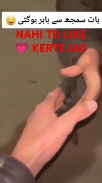 New Challenge ❤️ Impossible ♥️ Challenge Accepted???♥️ #shorts #funnyvideo #comedy #love #challenge