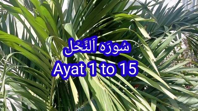 Surah An Nahl |quran recitation | Quran pak ki Tilawat | beautiful recitation | Quran teaching |