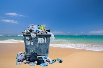 ¿La Paz se prepara para Semana Santa 2025? Operativo en playas y recolección de basura
