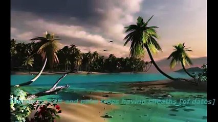 سوره الرحمن بصوت عجيب خاشع تهز القلوب Surah Rahman