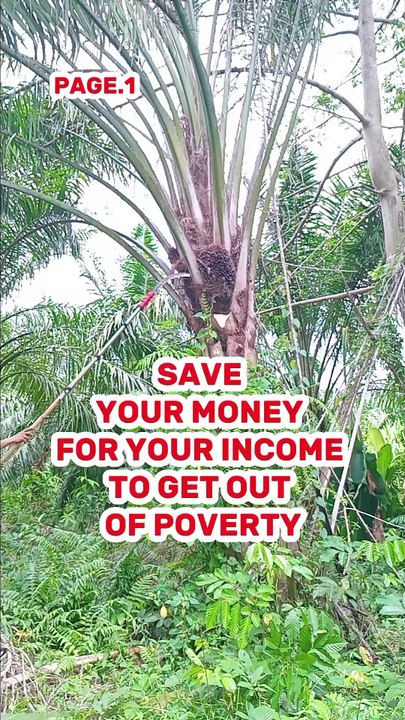 Save your money.part.1