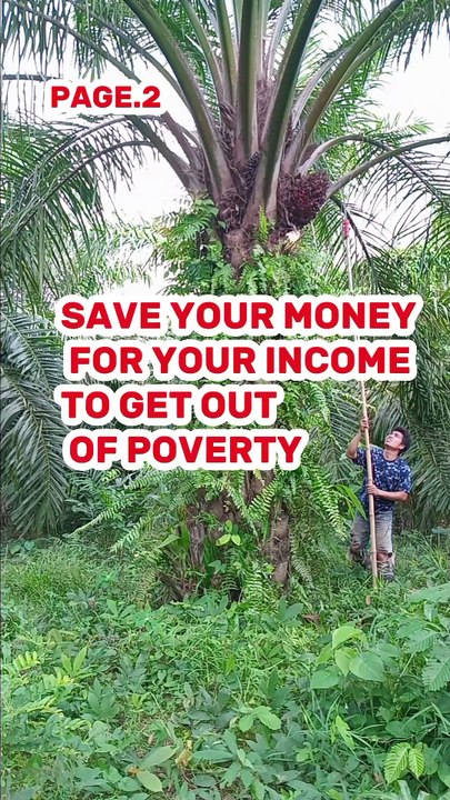 Save your money