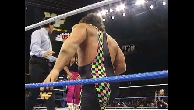 The Steiner Brothers vs The Hart Brothers (01-11-94)