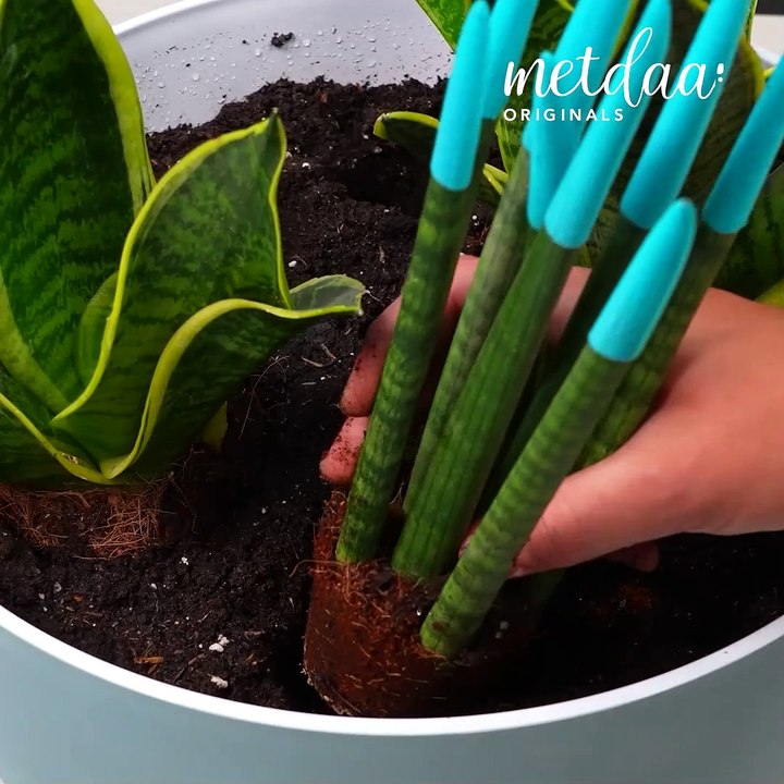 Digging deep into gardening hacks 🌿
