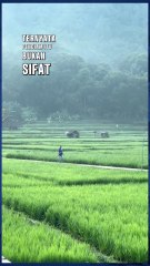 Suasana Pedesaan yang indah