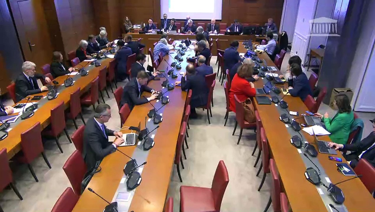 Commission des finances :  M. Olivier Redoules, directeur des études de Rexecode, et M. Anthony Morlet-Lavidalie, économiste France, sur la conjoncture économique - Mercredi 9 avril 2025