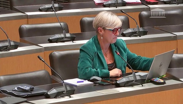 Commission des affaires économiques : M. Joël Fourny, président des Chambres des métiers et de l’artisanat (CMA) France ; Table ronde consacrée à l’économie sociale et solidaire - Mercredi 9 avril 2025