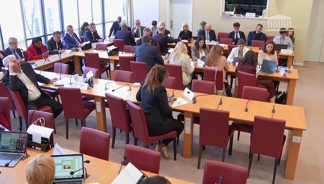 Commission des affaires étrangères : M. Dominique de Villepin, ancien premier ministre, sur la situation internationale ; Communication sur le déplacement d'une délégation de la commission à Washington, du 23 au 26 mars 2025 - Mercredi 9 avril 2025