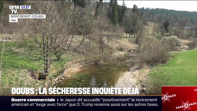 Les cumuls d'eau sont très faibles : L'assèchement précoce de la rivière du Doubs inquiète