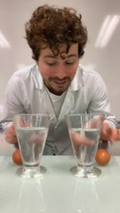 J’ai toujours rêvé de faire des œufs de dragon