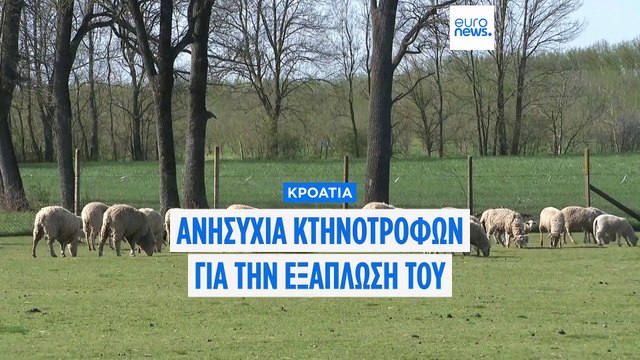 Εντείνεται η ανησυχία για την εξάπλωση του αφθώδους πυρετού στην Ευρώπη