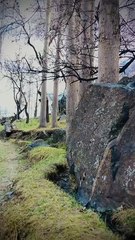 epic video #funnyshorts