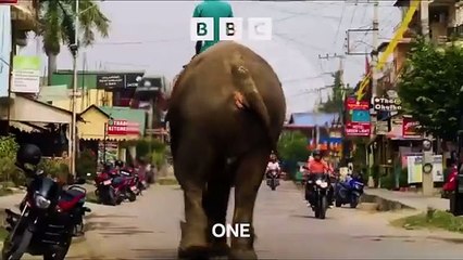 Race Across the World s5 teaser