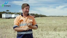 Reducing Cropping Time with Centralised Storage System