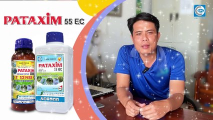 Đại lý Dũng Nguyễn, Long An chia sẻ cách sử dụng PATAXIM 55EC trừ cỏ đầu vụ