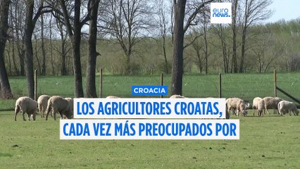 Crece la preocupación por la propagación de la fiebre aftosa entre los ganaderos croatas