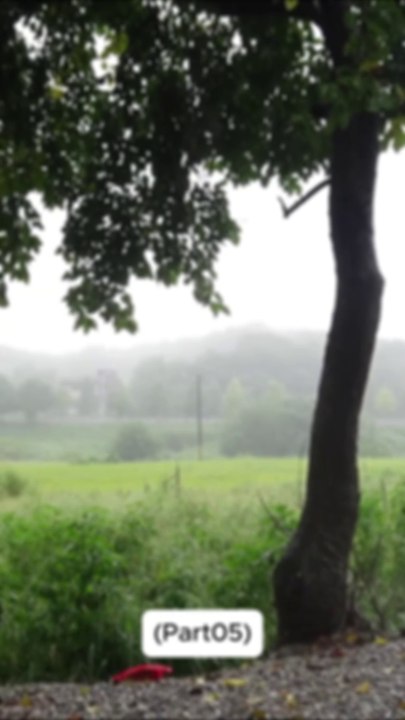 Camping Rainy Day