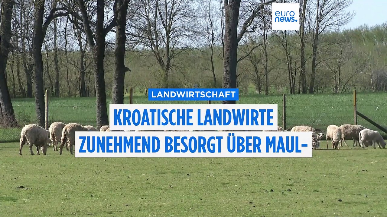 Wachsende Sorge bei kroatischen Landwirten über Ausbreitung der Maul- und Klauenseuche