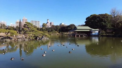 I went to Kiyosumi Gardens in Koto City, Tokyo