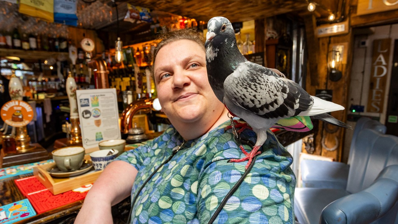 Frau nimmt Taube mit, wohin sie geht - auch in die Kneipe