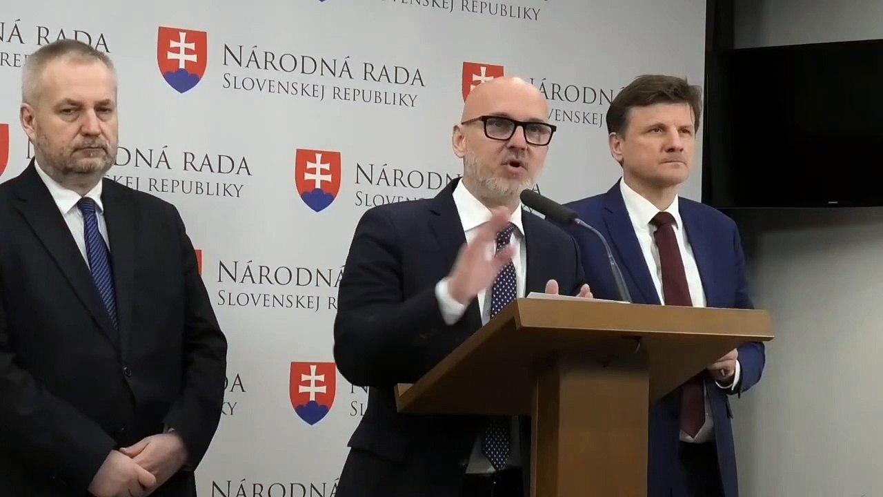 ZÁZNAM: TK strany SaS - Hádky v koalícii
