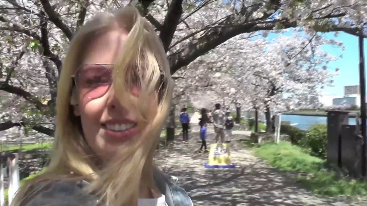 Camcorder vlog Tokyo - Sakura Street Shibuya & Meguro River cherry blossoms