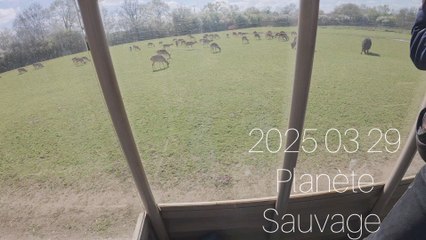 planète Sauvage