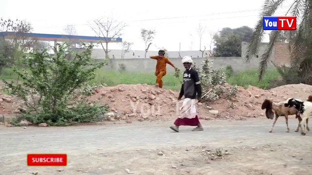 Number daar Ka Sagay Baap Se Dhoka Harami Ulad Funny Video | Most Comedy Funny Video |Numberdar Hd 2025