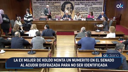 La ex mujer de Koldo monta un numerito en el Senado al acudir disfrazada para no ser identificada