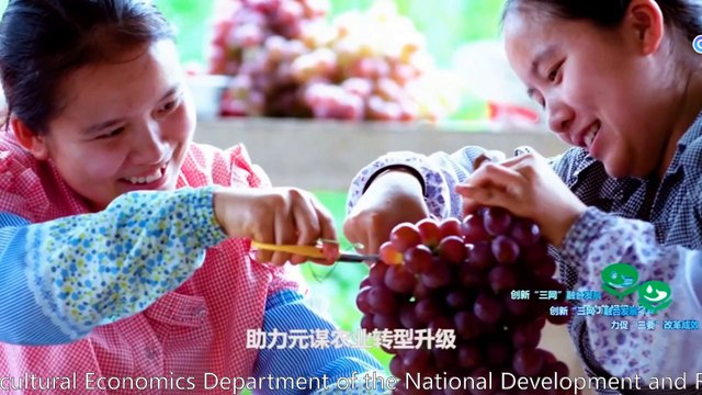 Dayu News | Chen Xuebin, Director of the Agricultural Economics Department of the National Development and Reform Commission, and his delegation visited Dayu Water Conservation Group for research and discussion