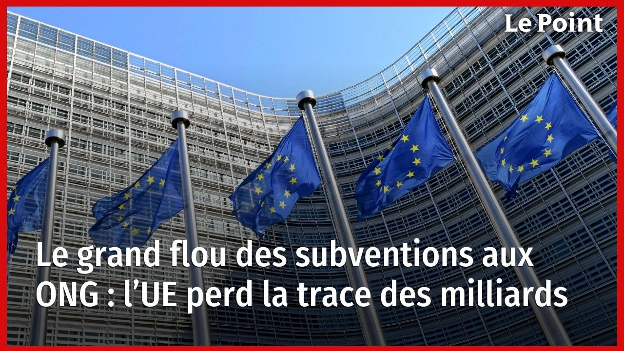 Le grand flou des subventions aux ONG : l’UE perd la trace des milliards