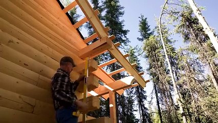 Log Cabin Building TIMELAPSE Built by ONE MAN (and Grandson)