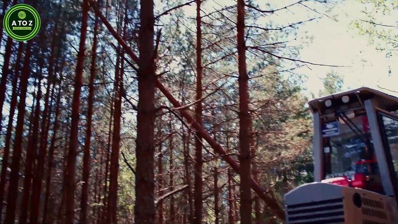 Buy Sustainable Timber | A To Z Wood Company | Wood Logs, Sawn Timber & Slabs for Sale